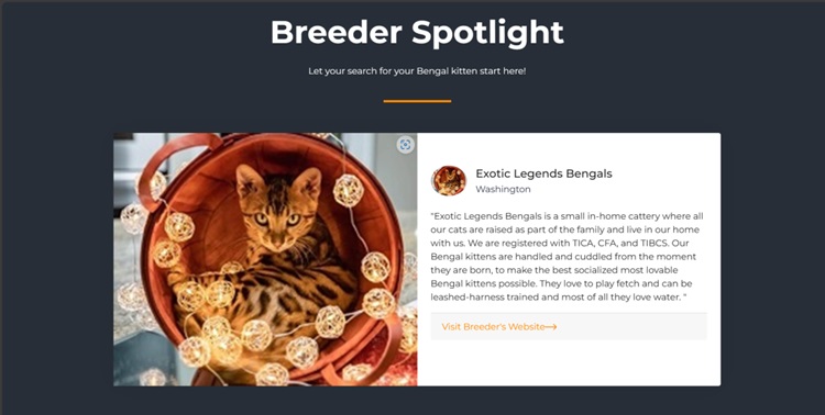 Spotlight listing photo